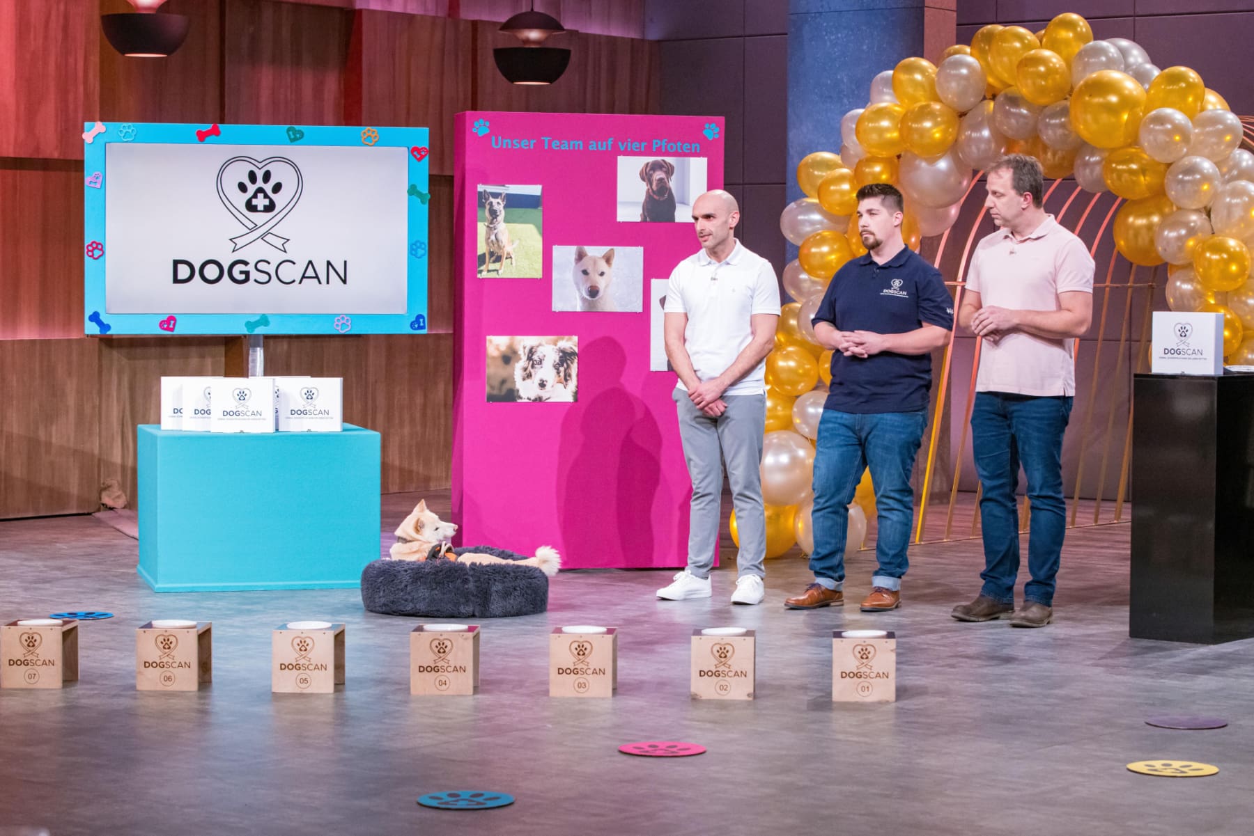 Der Arzt Ali Bouklloua berät die Gründer und Hundeliebhaber Florian Wienen und Alexander Maßen bei ihrem Startup Dogscan.